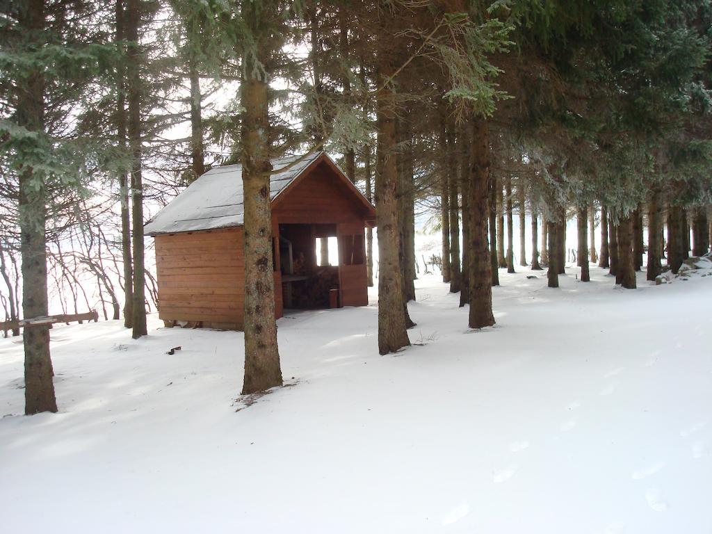 Guest House Sumski Dvor Vrhovine Exteriér fotografie